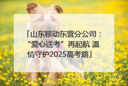 山东移动东营分公司：“爱心送考”再起航 温情守护2025高考路