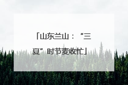 山东兰山：“三夏”时节麦收忙