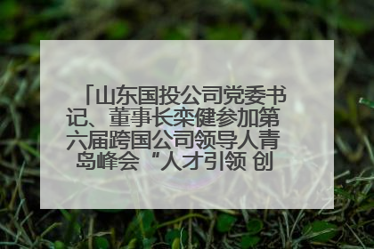 山东国投公司党委书记、董事长栾健参加第六届跨国公司领导人青岛峰会“人才引领 创新驱动”人力资源高质量发展对话会