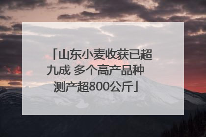 山东小麦收获已超九成 多个高产品种测产超800公斤