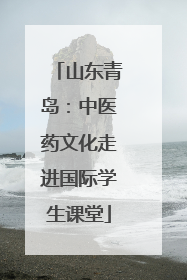 山东青岛：中医药文化走进国际学生课堂