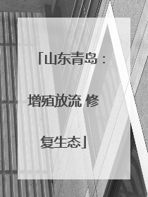 山东青岛：增殖放流 修复生态
