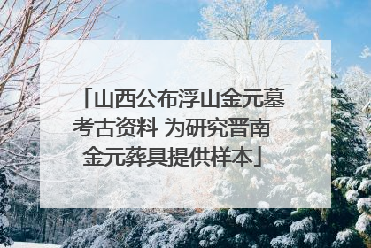 山西公布浮山金元墓考古资料 为研究晋南金元葬具提供样本