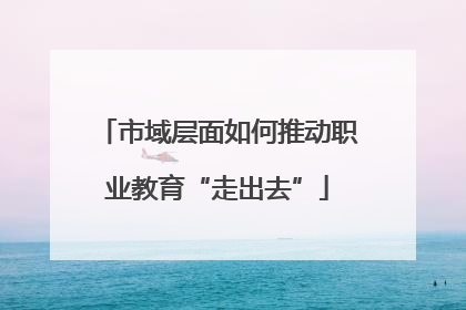 市域层面如何推动职业教育“走出去”