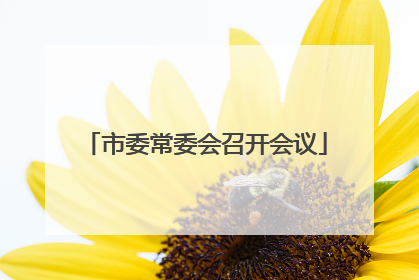 市委常委会召开会议