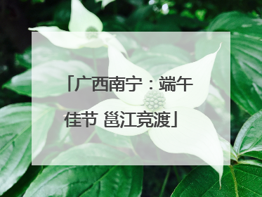 广西南宁：端午佳节 邕江竞渡