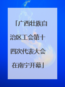 广西壮族自治区工会第十四次代表大会在南宁开幕