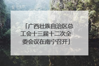 广西壮族自治区总工会十三届十二次全委会议在南宁召开