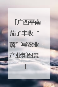 广西平南茄子丰收“蔬”写农业产业新图景