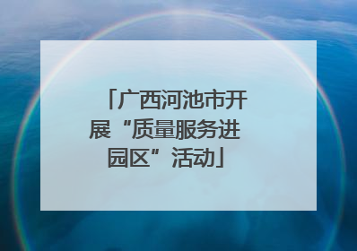 广西河池市开展“质量服务进园区”活动