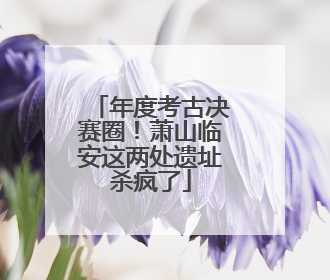 年度考古决赛圈！萧山临安这两处遗址杀疯了