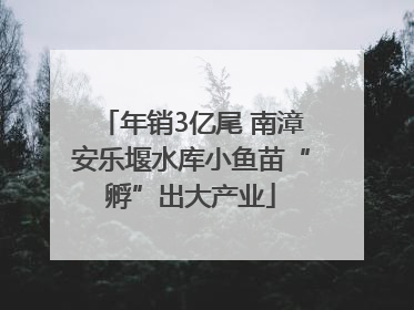 年销3亿尾 南漳安乐堰水库小鱼苗“孵”出大产业