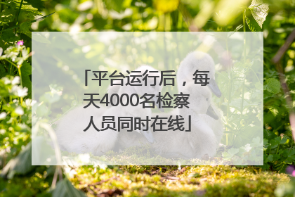 平台运行后，每天4000名检察人员同时在线