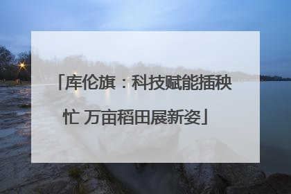 库伦旗：科技赋能插秧忙 万亩稻田展新姿