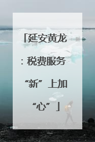 延安黄龙：税费服务“新”上加“心”