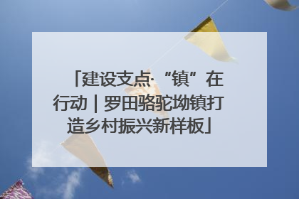 建设支点·“镇”在行动｜罗田骆驼坳镇打造乡村振兴新样板