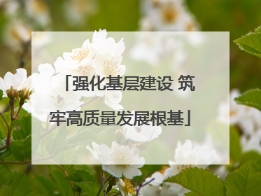 强化基层建设 筑牢高质量发展根基