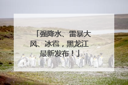 强降水、雷暴大风、冰雹，黑龙江最新发布！