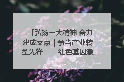 弘扬三大精神 奋力建成支点｜争当产业转型先锋——红色基因激荡荆门转型跨越之路