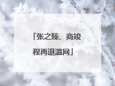 张之臻、商竣程再退温网