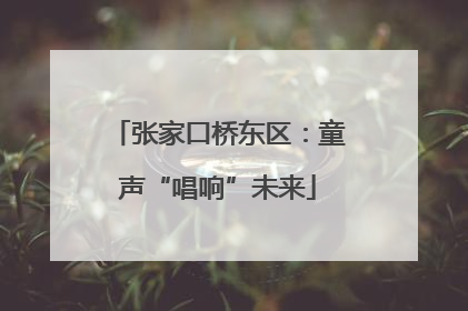 张家口桥东区：童声“唱响”未来
