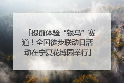 提前体验“银马”赛道！全国徒步联动日活动在宁夏花博园举行