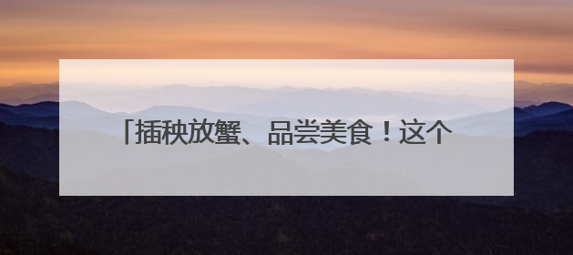 插秧放蟹、品尝美食！这个周末，吉报小记者有点忙