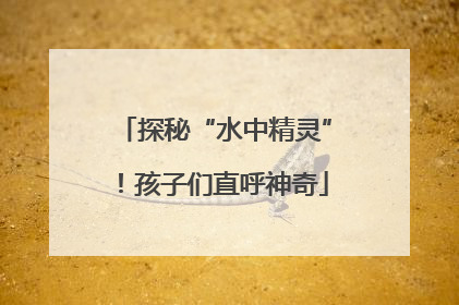 探秘“水中精灵”！孩子们直呼神奇