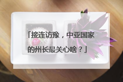 接连访豫，中亚国家的州长最关心啥？