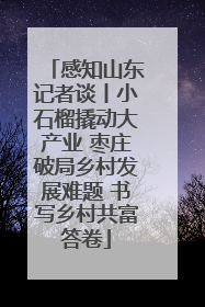 感知山东记者谈丨小石榴撬动大产业 枣庄破局乡村发展难题 书写乡村共富答卷