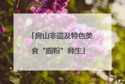房山非遗及特色美食“圈粉”师生