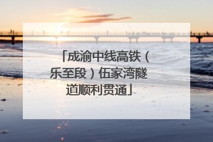 成渝中线高铁（乐至段）伍家湾隧道顺利贯通