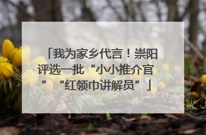 我为家乡代言！崇阳评选一批“小小推介官”“红领巾讲解员”