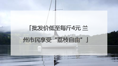 批发价低至每斤4元 兰州市民享受“荔枝自由”
