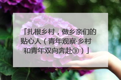 扎根乡村，做乡亲们的贴心人（青年观察·乡村和青年双向奔赴③）