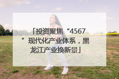 投资聚焦“4567”现代化产业体系，黑龙江产业换新景