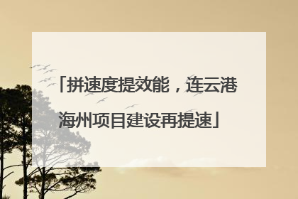 拼速度提效能，连云港海州项目建设再提速
