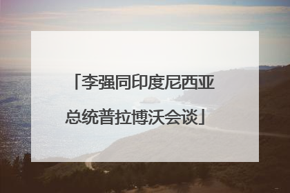 李强同印度尼西亚总统普拉博沃会谈
