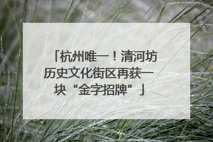 杭州唯一！清河坊历史文化街区再获一块“金字招牌”