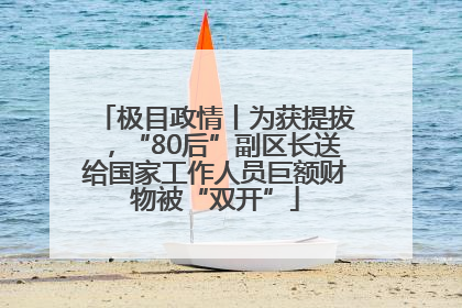 极目政情丨为获提拔，“80后”副区长送给国家工作人员巨额财物被“双开”