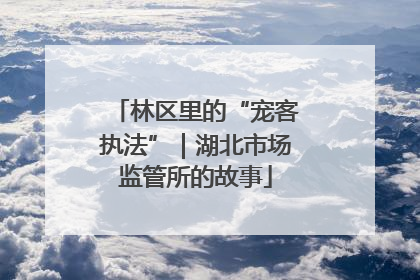 林区里的“宠客执法”｜湖北市场监管所的故事
