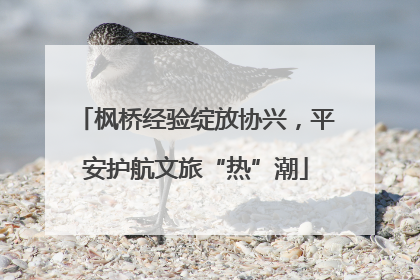 枫桥经验绽放协兴，平安护航文旅“热”潮