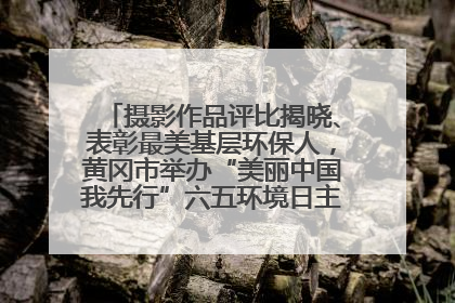 摄影作品评比揭晓、表彰最美基层环保人，黄冈市举办“美丽中国我先行”六五环境日主题宣传活动