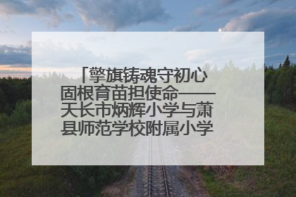 擎旗铸魂守初心 固根育苗担使命——天长市炳辉小学与萧县师范学校附属小学结对共建活动纪实