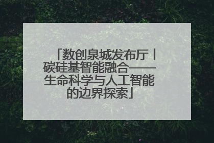 数创泉城发布厅丨碳硅基智能融合——生命科学与人工智能的边界探索