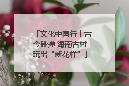 文化中国行丨古今碰撞 海南古村玩出“新花样”