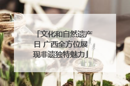 文化和自然遗产日 广西全方位展现非遗独特魅力