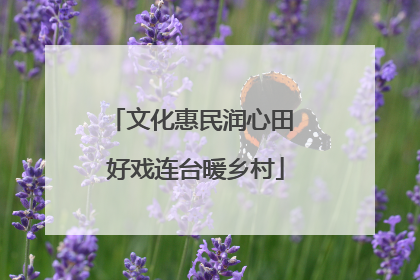 文化惠民润心田 好戏连台暖乡村