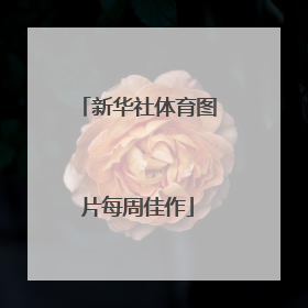 新华社体育图片每周佳作