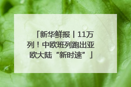 新华鲜报丨11万列！中欧班列跑出亚欧大陆“新时速”